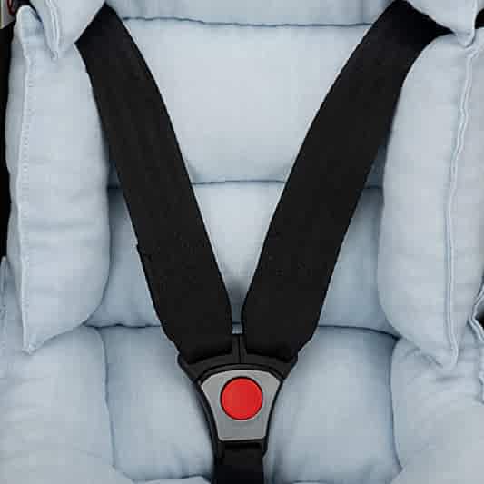 Puset Minderi - Mavi