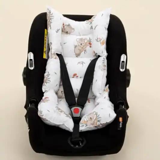 Puset Minderi - Koala